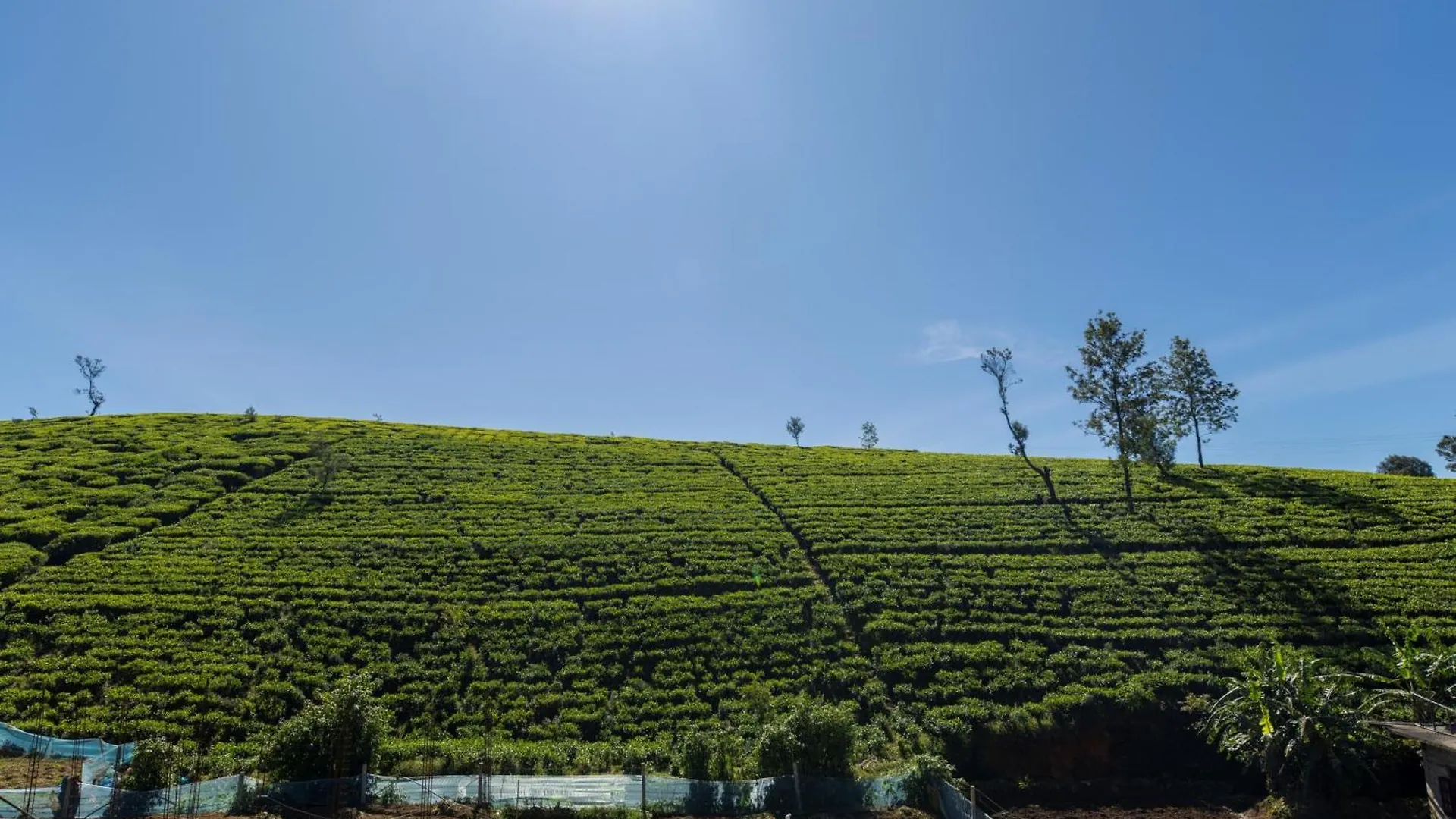 Palazzo Lake Gregory Nuwara Eliya Hotel