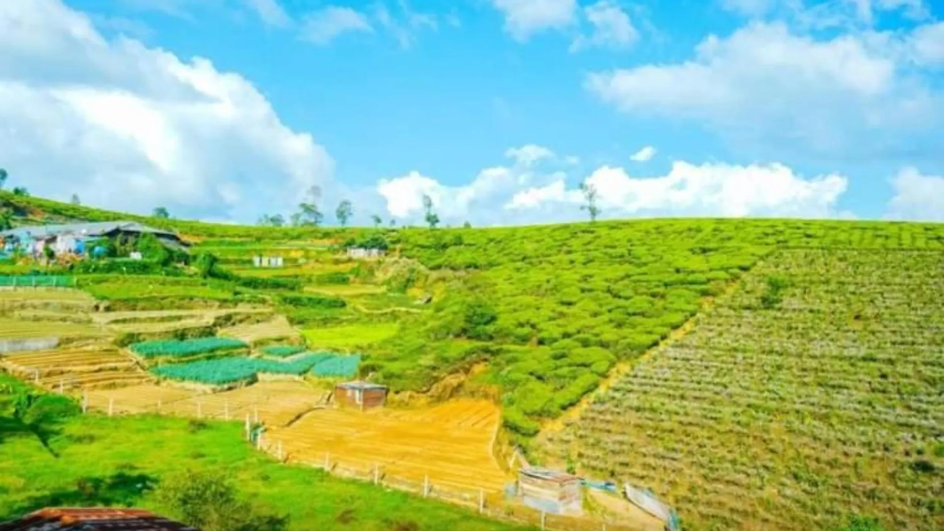 Palazzo Lake Gregory Nuwara Eliya Sri Lanka